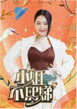 综艺推荐 一起露营吧 户外真人秀海报